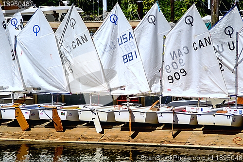 Image of optimist dinghies