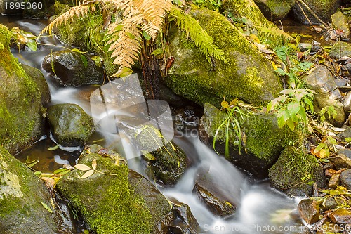 Image of Falls on the small mountain river in a wood shooted in autumn