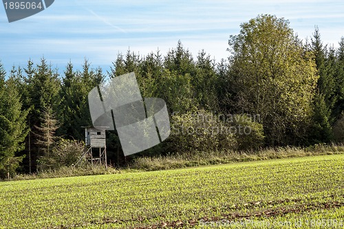 Image of Autumn Landscape with hunting bryony