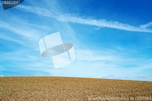 Image of Nice autumn field with clear horizont and blue sky