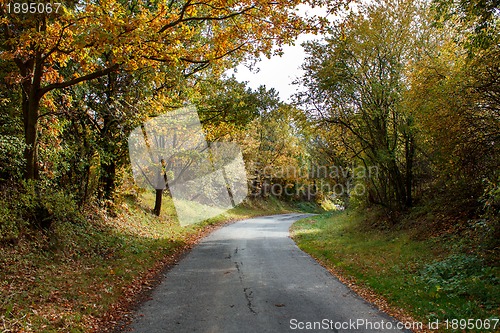 Image of Road in the autumn with yellow trees