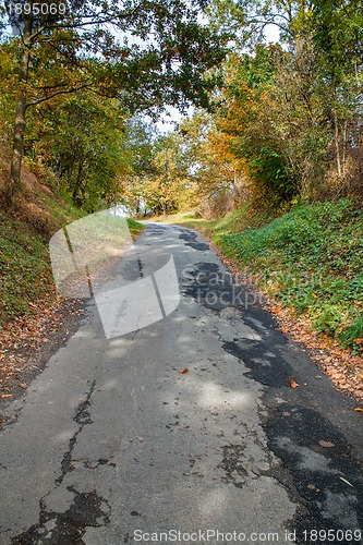 Image of Road in the autumn with yellow trees