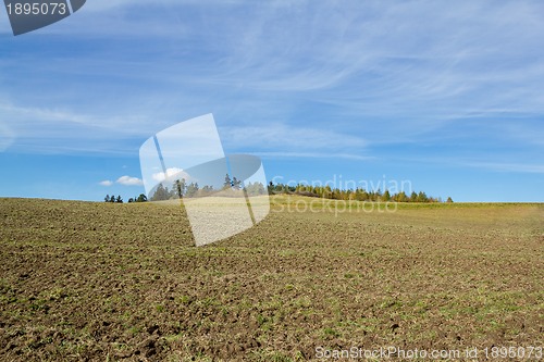 Image of Nice autumn field and blue sky