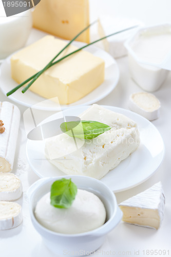 Image of Assortment of dairy products