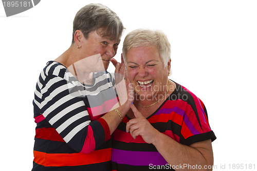 Image of Female senior woman have fun together