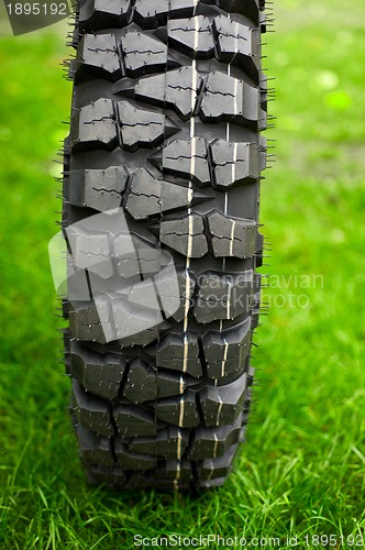 Image of Tire at green grass