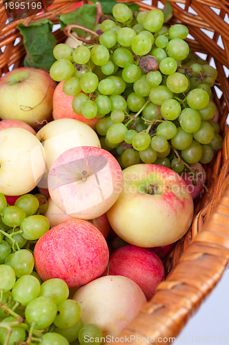 Image of apples and grapes