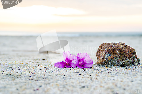 Image of Couple of the Day