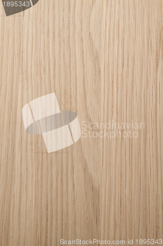 Image of Wood Texture