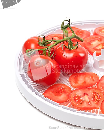 Image of Ripe tomato on food dehydrator tray