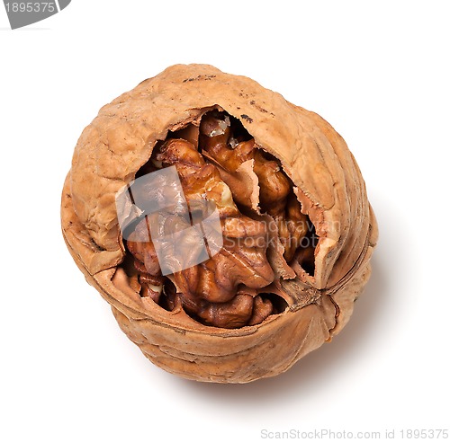 Image of Walnut on white background