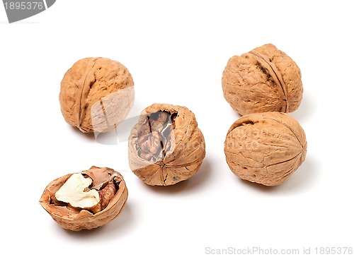 Image of Walnuts on white background