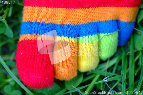 Image of bunte Socke