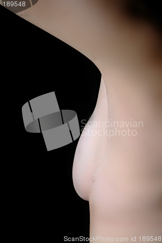 Image of busen halb | half breast