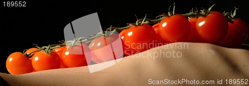 Image of rispentomate auf rippen | panicle tomatoes on ribs