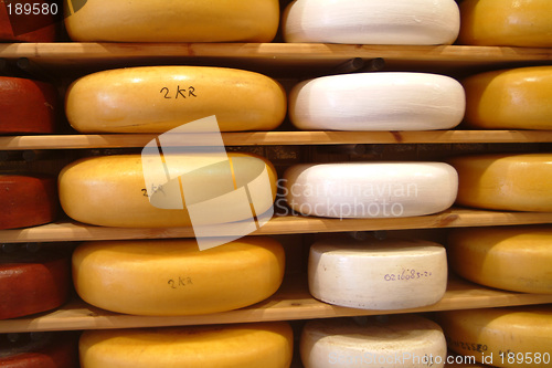 Image of Gouda | gauda