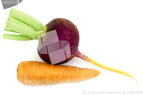 Image of Red radish and carrots
