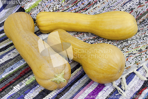 Image of Three muscat pumpkin