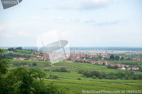 Image of Alsace landscape and vinewyard