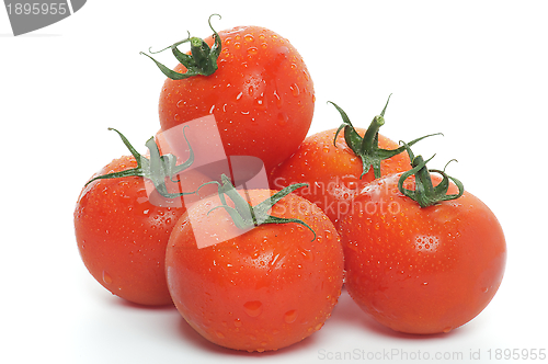 Image of Heap of Fresh Tomatoes