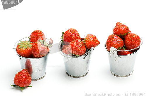 Image of Tin Buckets with Strawberry