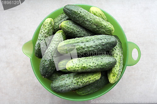 Image of cucumbers