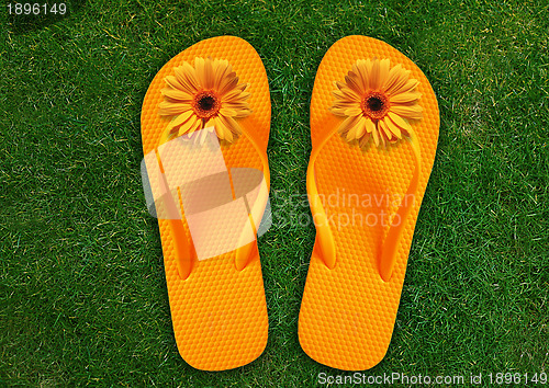 Image of Colorful Flip Flops