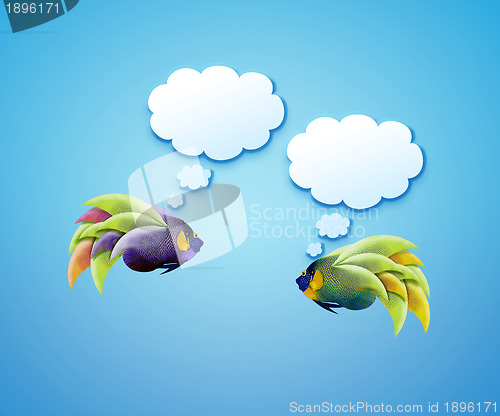 Image of angelfish with speech bubbles. 