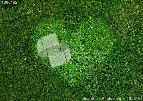 Image of Green Heart
