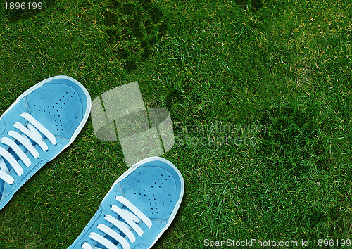 Image of Blue Shoe print on green grassland