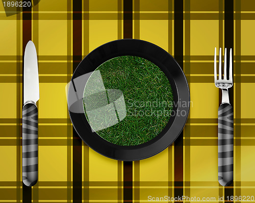 Image of green grass on black plate