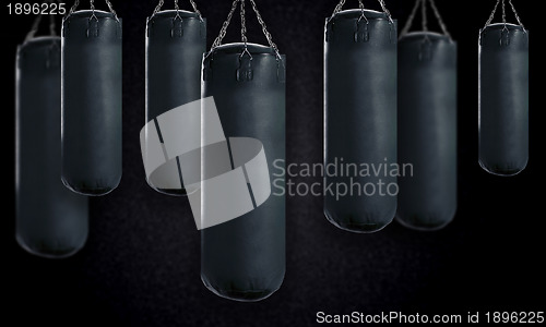 Image of Punching bag