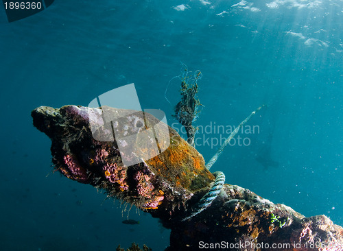 Image of Underwater shipwreck