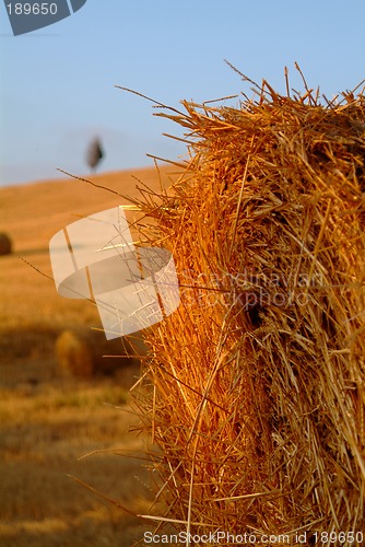 Image of strohballen | straw bale