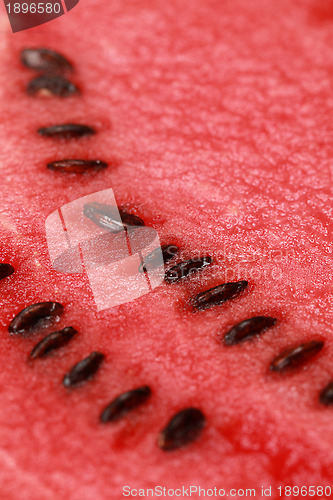 Image of Watermelon