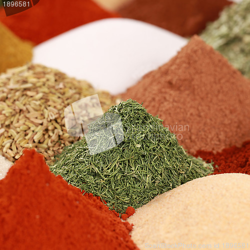 Image of Spices and herbs