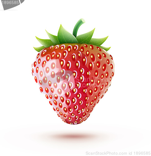 Image of fresh strawberry 