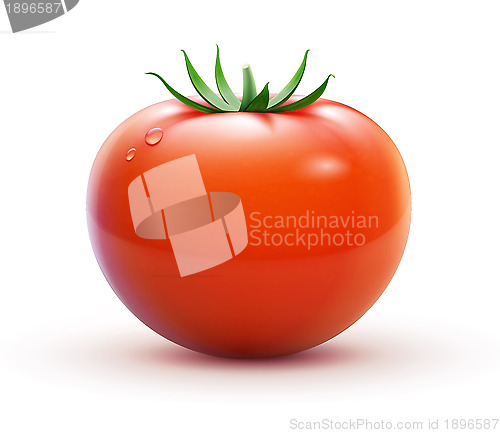 Image of Red fresh tomato