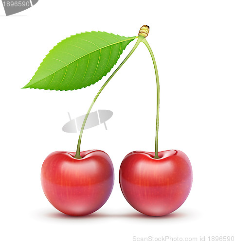 Image of Two red fresh cherries