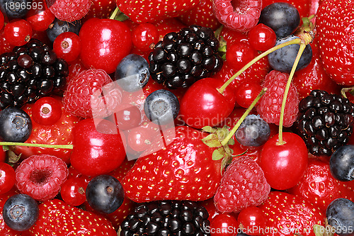 Image of Collection of berries