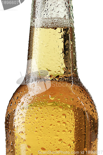 Image of Beer bottle