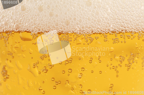 Image of Beer glass