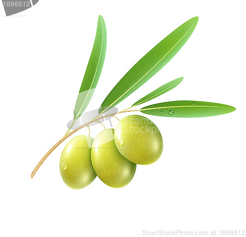 Image of Green olives