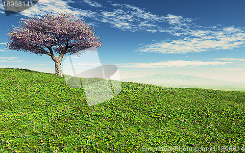 Image of Cherry Tree