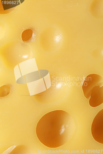 Image of Cheese with many holes