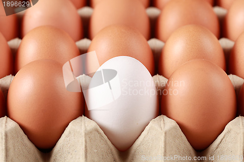 Image of Eggs in a box