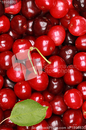 Image of Cherry background