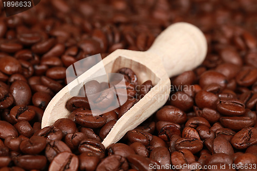 Image of Coffee beans in a wooden spoon