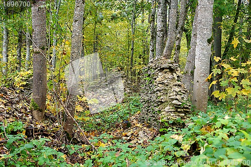 Image of Ruins  in forest