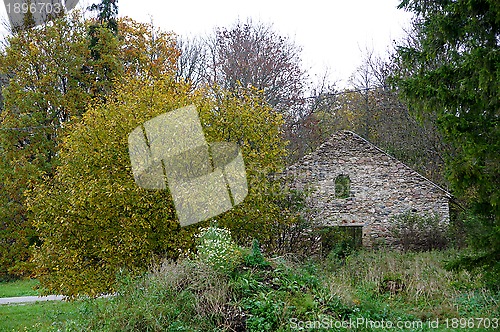 Image of Ruins and trees